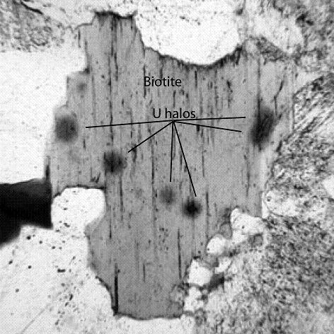 Collins Figure 4: Uranium Halos